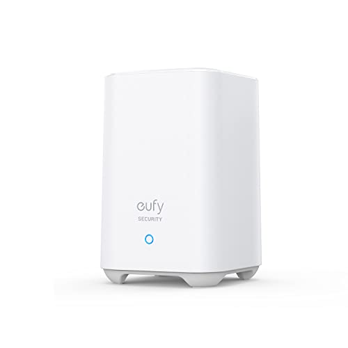 eufy google home