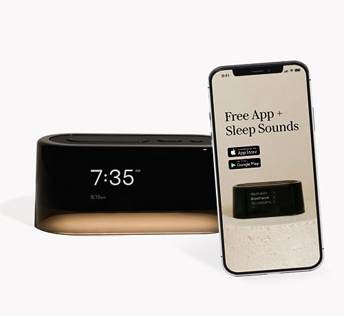 set up google home mini