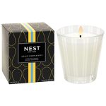 NEST Fragrances Amalfi Lemon & Mint Scented Classic Candle, 8 Ounce