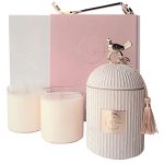 Scented Candles for Home Luxury Candle Gift Set - Candle Holder + 2 x 8.5oz Soy Candle Refills + Wick Trimmer - 115 Hour Burn - Birthday Gifts for Women - Centerpiece Decorations - 4 pcs