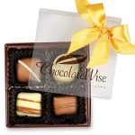 Christmas Chocolate Truffles Gift Box - 4 Pieces, in a Clear Gift Box - Delicious Gourmet Chocolate Candy - Chocolate Assortment with 4 Different Mouthwatering Truffles Mix – Beautifully Packed Gift Box