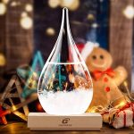 Christmas Snow Globe Storm Glass Weather Predictor Weather Storm Glass Decorative Bottle Withe a Solid Wooden Base Weather Stations Office Home Tabletop Decor Festival for Men (L)