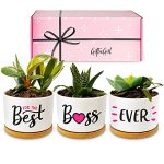 GIFTAGIRL Boss Gifts Birthday or Christmas for Women - Cute Gifts for Your Boss Female Like Our Best Boss Ever Pots, are Personal Gifts for Boss who has Everything and Arrive Beautifully Gift Boxed