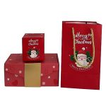 Merry Christmas Surprise Gift Boxes, 2023 Surprise Gift Box, Gift Box Explosion for Money and Birthday, Pop-Up Explosion Gift Box, Folding Bouncing Surprise Gift Box for Christmas (10pcs)