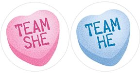 Valentine's Day Gender Reveal Party - Team He or Team She Conversation Heart Stickers - What Will Our Little Sweetheart Be Gender Reveal - 40 Labels