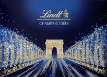 Lindt Champs Elysées Chocolate Box Gourmet Milk and Dark Chocolate Assortment 44 Chocolates 16.5oz