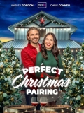 the perfect christmas gift