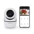 budget security camera