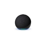 google alexa