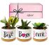 gift giving ideas