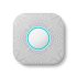 nest alarm system